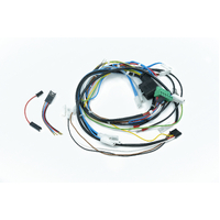 Giotto PID wiring loom - A199905506
