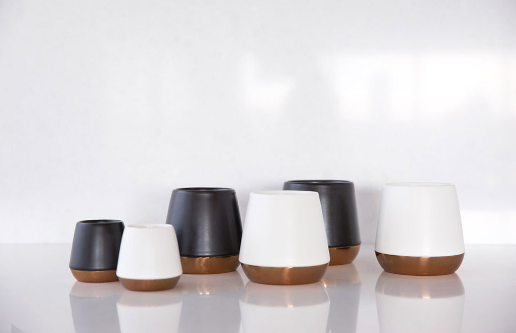 Fellow Joey Double Wall Espresso Mugs: A Must-Have for Coffee Lovers –  BrandsWalk