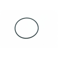 Bezzera Element Gasket