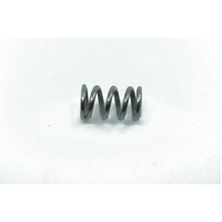 Spring steam-/hot water valve - B5471532 