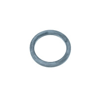 Gaggia group seal - GG0026/01