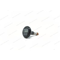 Digital Thermometer for E61 Group 