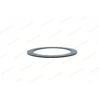 La Pavoni Professional Boiler-Base Gasket (Upper Diameter 100) - 362081