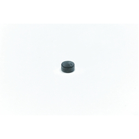 Water/Steam Valve Seal - 5493001
