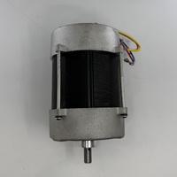 DF MOTOR 250W DF64 #18