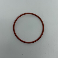 Saeco Via Venezia boiler seal - 140322962