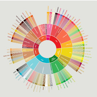 Coffee Taster's Flavour Wheel