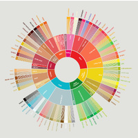 Coffee Taster's Flavour Wheel