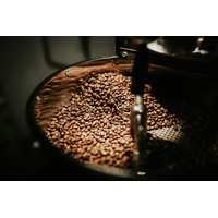 Beginner Coffee Roasting Course