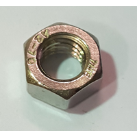 M6 SS Hex nut 