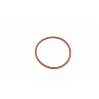 Isomac Venus shower screen gasket - I507
