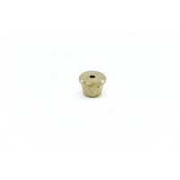 Giotto 2mm restrictor - C220004270