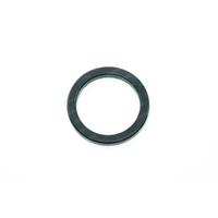 Bezzera Strega Group Head Seal 