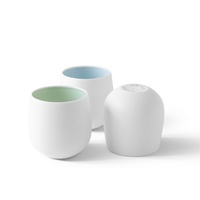 ACME Tajimi Cup 300ml